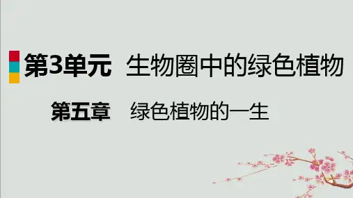 睢县第三中学七年级生物上册第三单元第五章第五节植物的开花和结果第2课时果实的形成和结构课件新版苏教版
