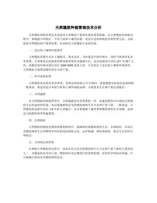 天然橡胶种植管理技术分析