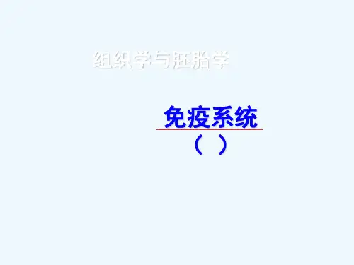 组织学与胚胎学免疫系统课件
