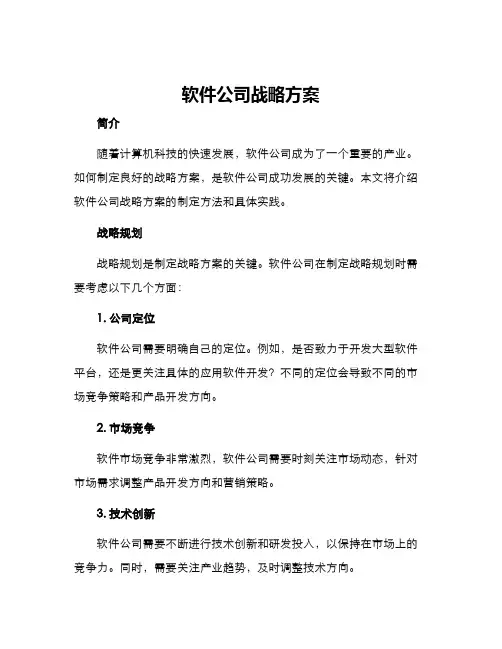 软件公司战略方案