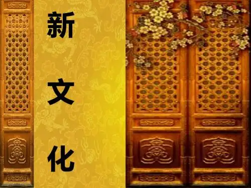 新文化运动PPT课件69(说课)