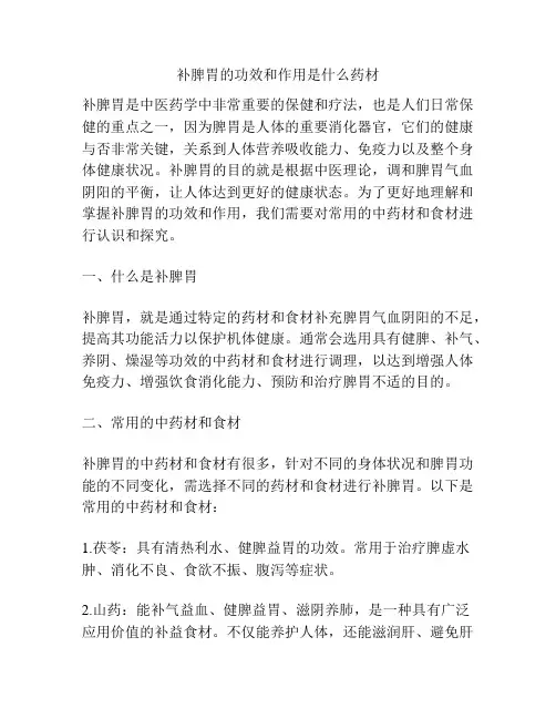 补脾胃的功效和作用是什么药材