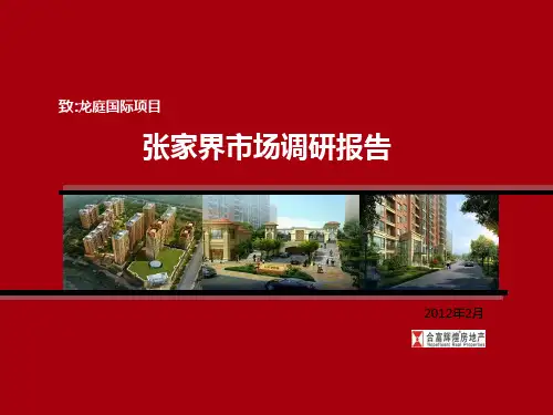 张家界市场调研报告 PPT课件