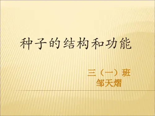 种子的结构和功能【精选】