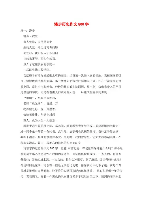 漫步历史作文800字