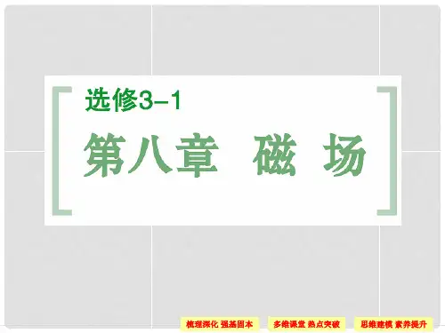高考物理一轮复习 第8章 第1讲 磁场的描述及磁场对电流的作用课件