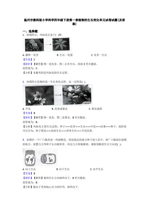 温州市教科版小学科学四年级下册第一章植物的生长变化单元试卷试题(及答案)