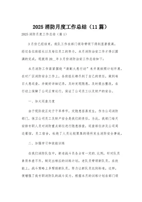 2025消防月度工作总结(11篇)