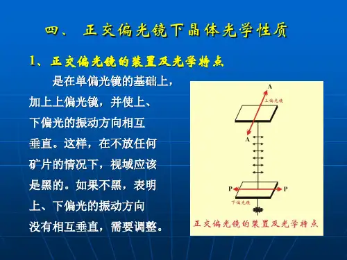 《正交偏光镜下晶体光学性质》课件