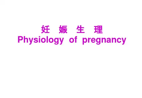 妊娠生理课件