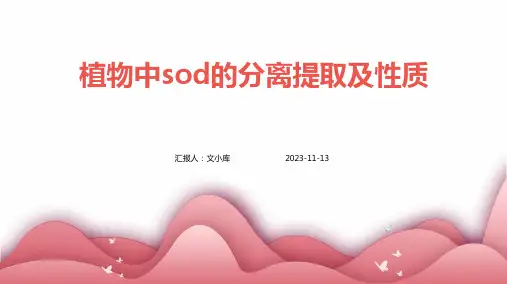 植物中SOD的分离提取及性质