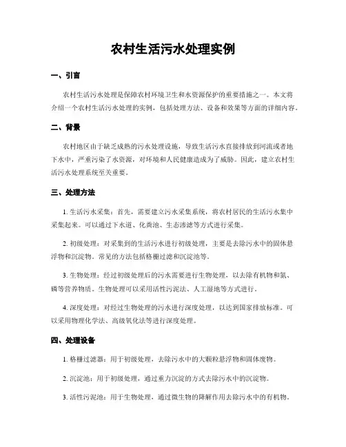 农村生活污水处理实例