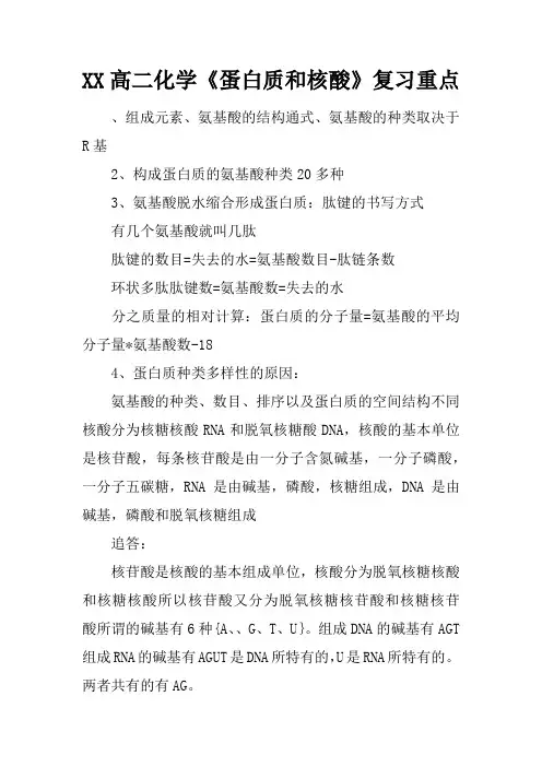 XX高二化学《蛋白质和核酸》复习重点