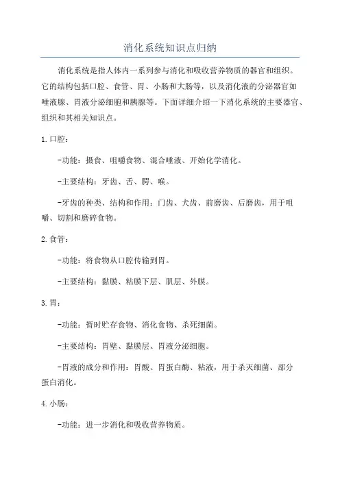 消化系统知识点归纳
