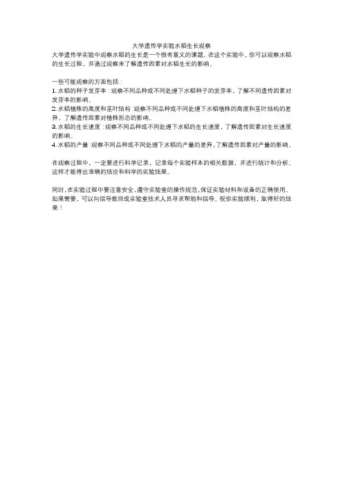大学遗传学实验水稻生长观察