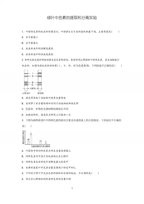 高中生物《绿叶中色素的提取和分离实验》精品课时练习试题