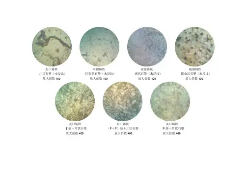 铸铁的金相组织图