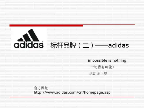 阿迪达斯品牌调研