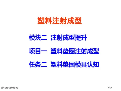 塑料注射成型模具介绍
