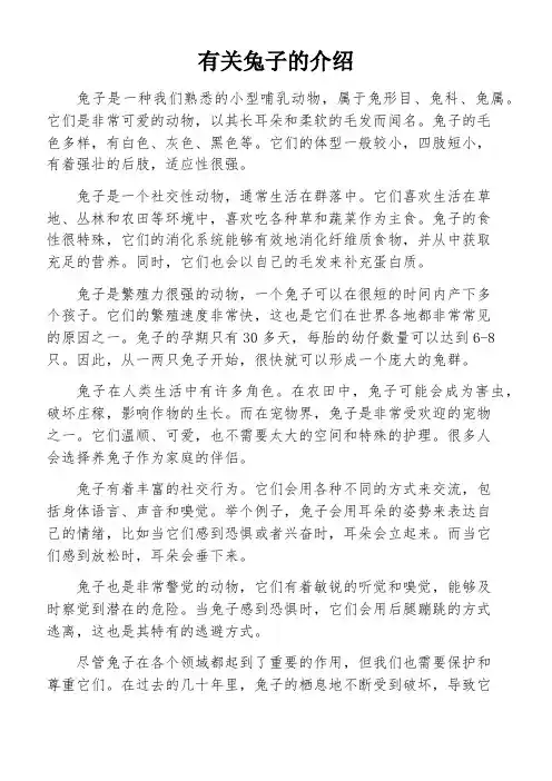 有关兔子的介绍