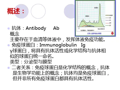 医学免疫学  免疫球蛋白_PPT幻灯片