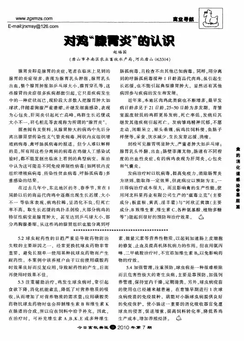 对鸡“腺胃炎”的认识