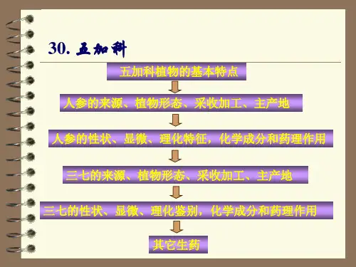 30五加科