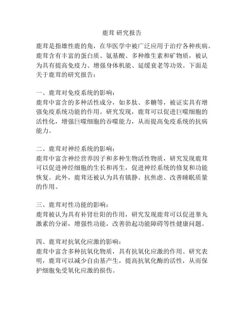 鹿茸 研究报告