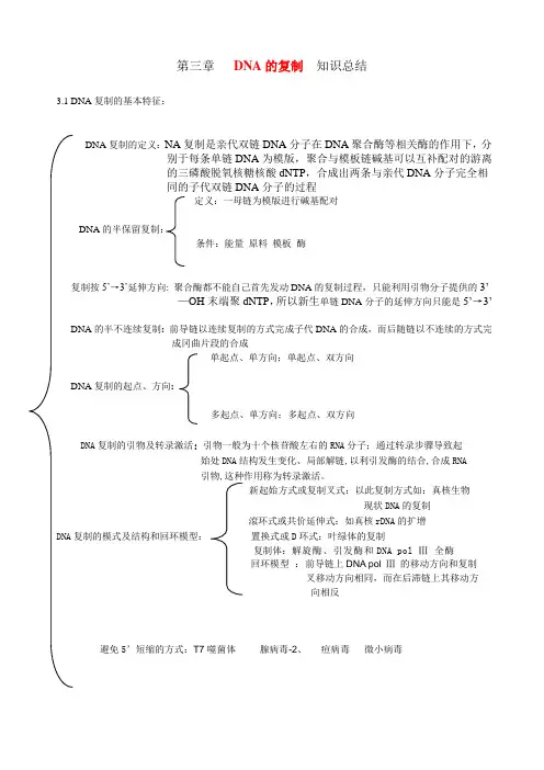 分子生物学第三章DNA的复制  知识总结