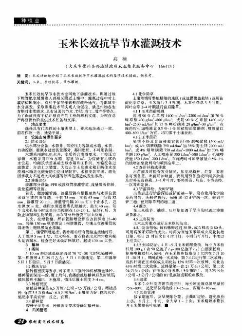 玉米长效抗旱节水灌溉技术