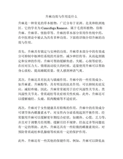 升麻功效与作用是什么