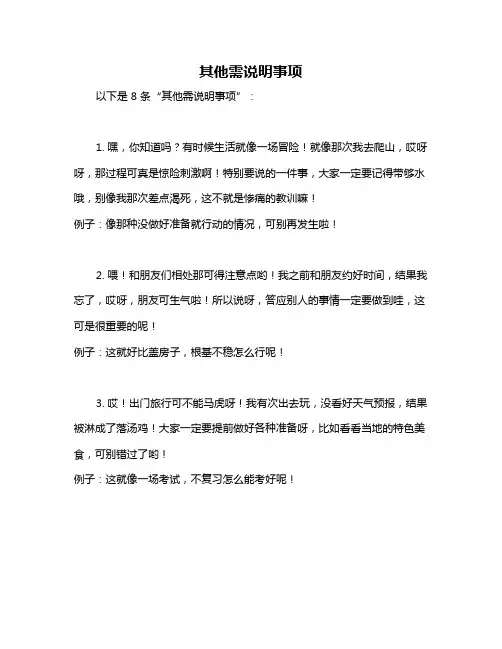 其他需说明事项