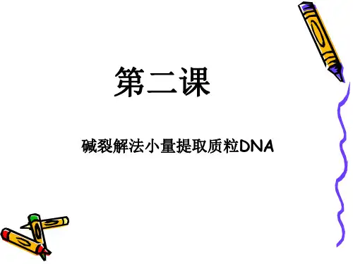第二课 碱裂解法小量提取质粒DNA