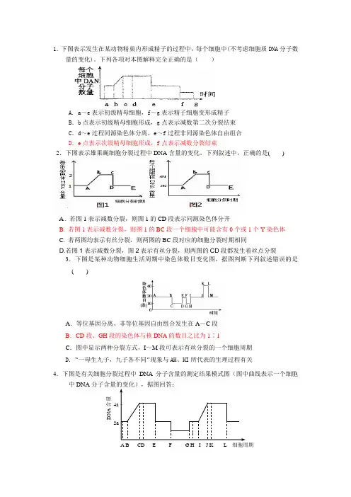 减数分裂的几个曲线图精题