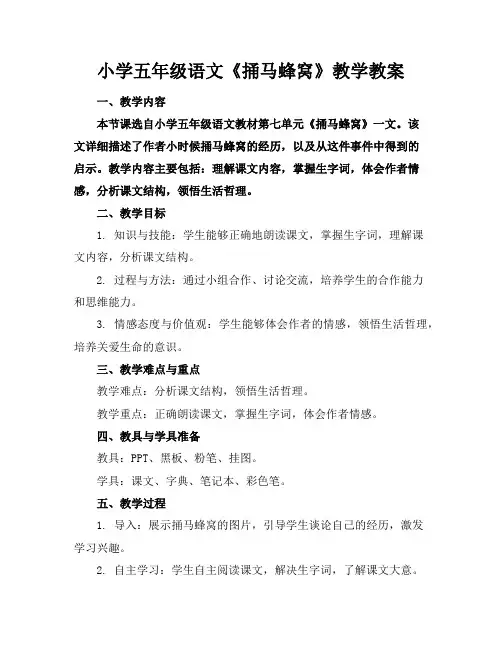 小学五年级语文《捅马蜂窝》教学教案