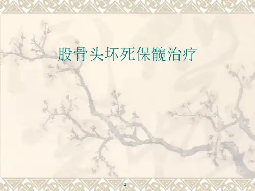 股骨头骨坏死保髋治疗ppt课件