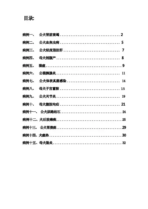 兽医院实习病历