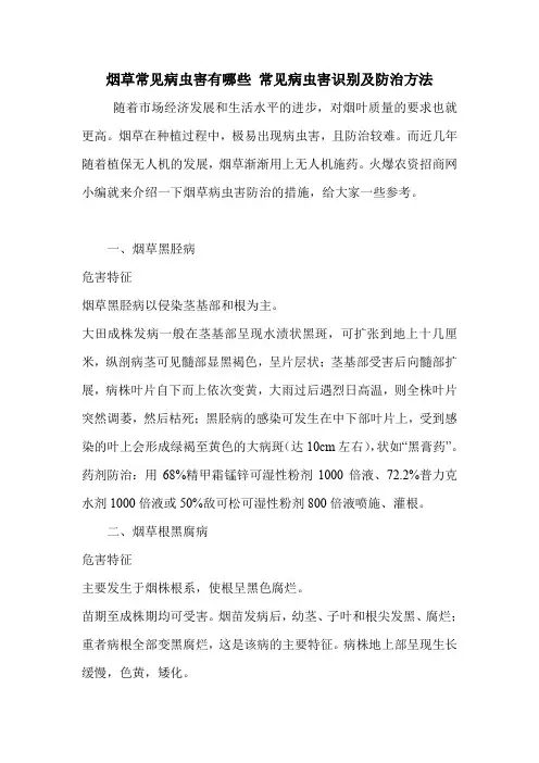 烟草常见病虫害有哪些 常见病虫害识别及防治方法.doc