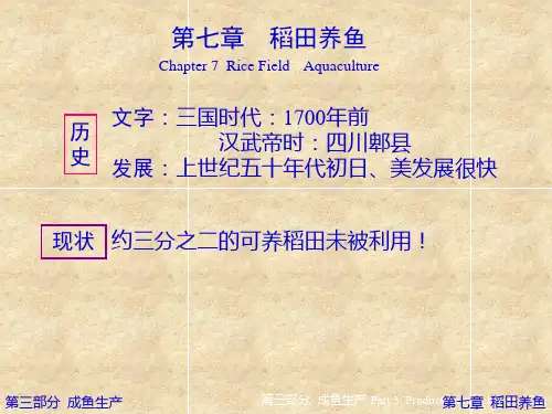 7稻田养鱼