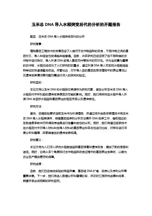 玉米总DNA导入水稻突变后代的分析的开题报告