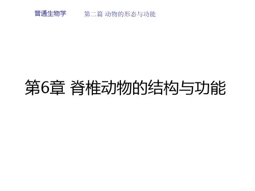 第6章 脊椎动物的结构与功能