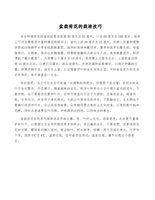 盆栽荷花的栽培技巧