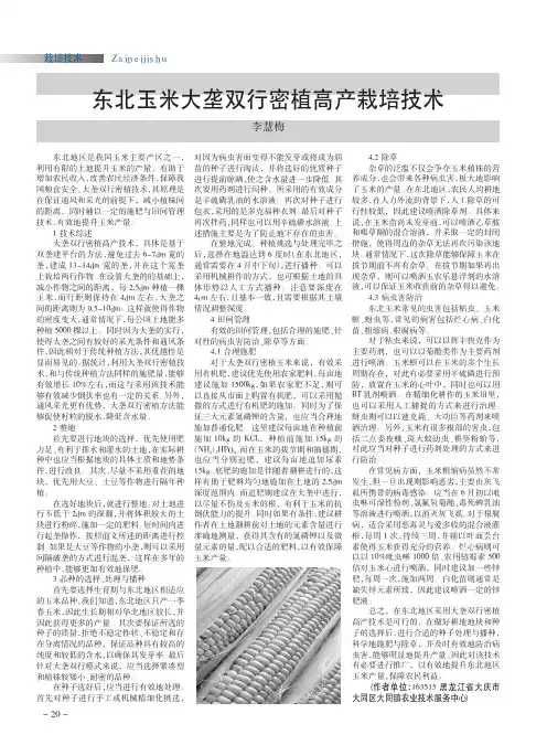 东北玉米大垄双行密植高产栽培技术