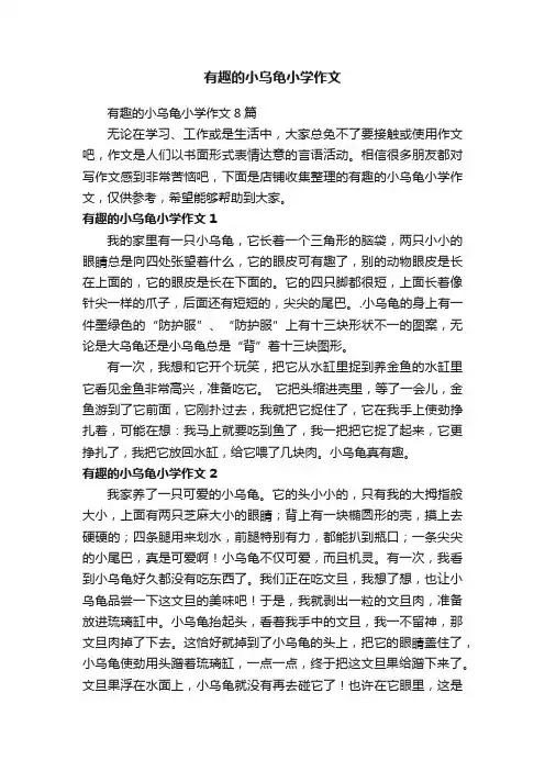有趣的小乌龟小学作文