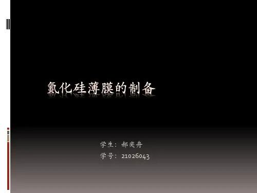 氮化硅薄膜2007