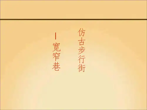宽窄巷调研报告