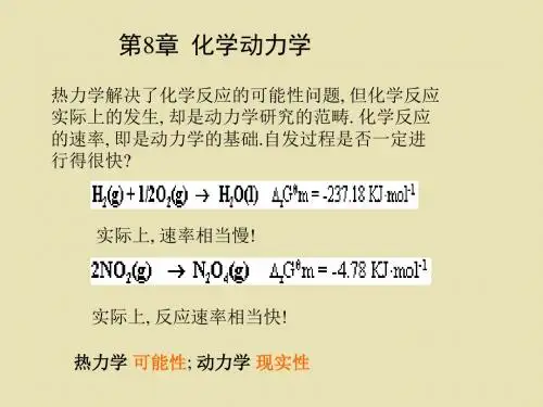 大学化学基础 第8章 化学动力学1