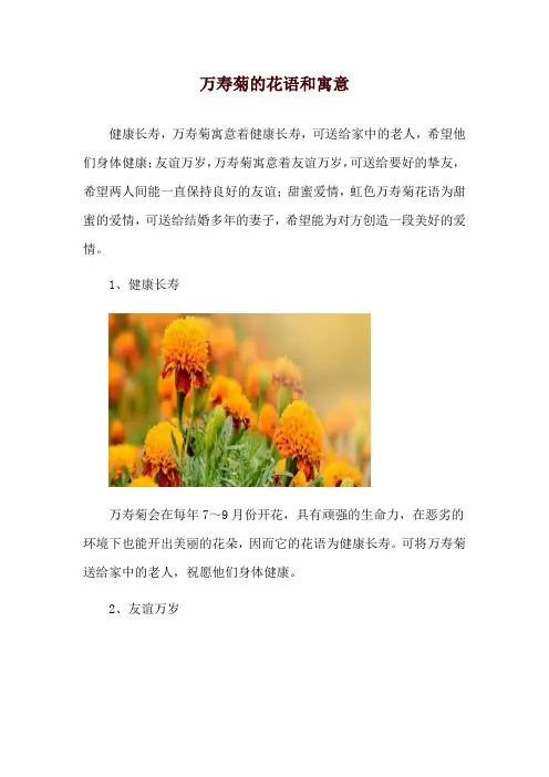 万寿菊的花语和寓意