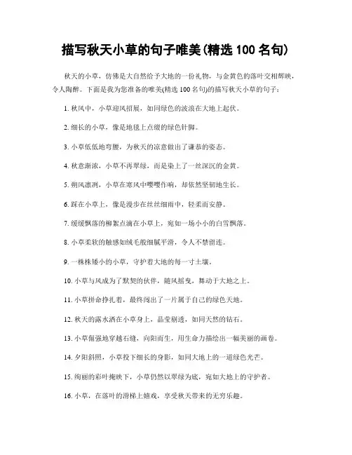 描写秋天小草的句子唯美(精选100句)