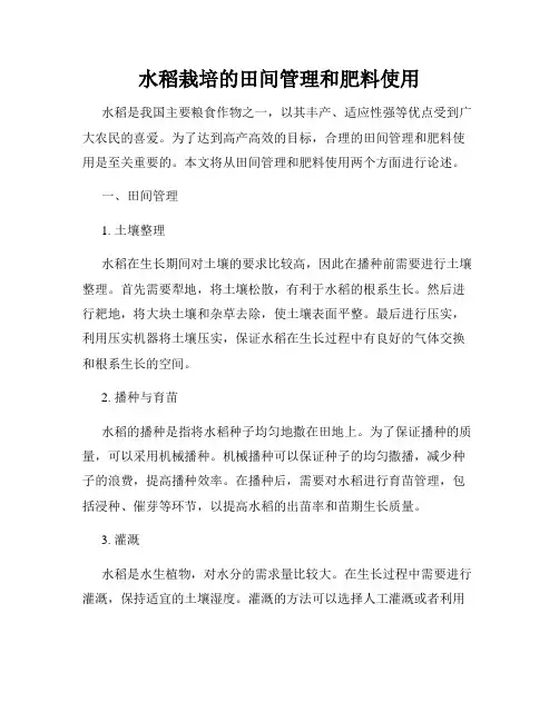 水稻栽培的田间管理和肥料使用